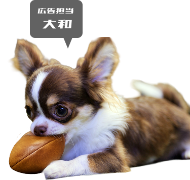広報担当大和